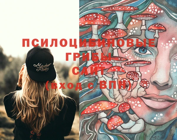спиды Верея