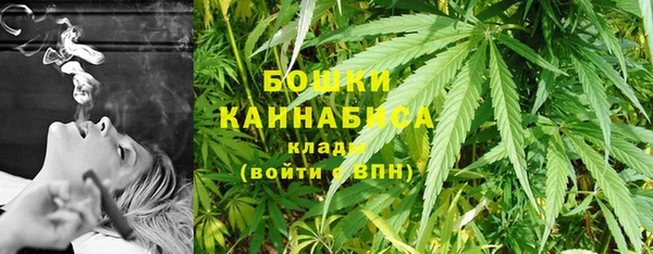 дурь Няндома