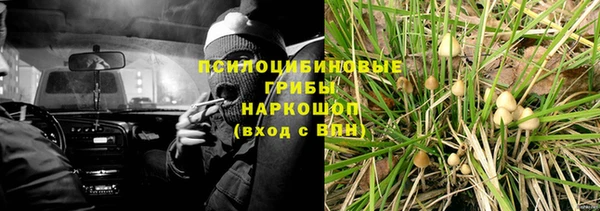 дурь Няндома