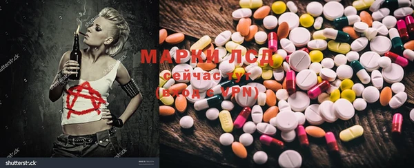 спиды Верея