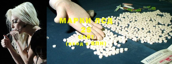 дурь Няндома