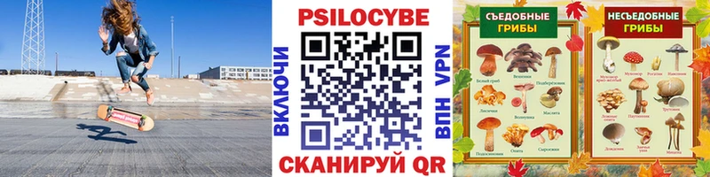 Псилоцибиновые грибы ЛСД  Новая Ладога 
